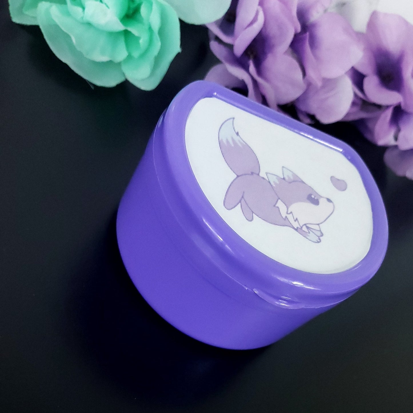 ABDL Adult Pacifier Case - Galaxy Fox