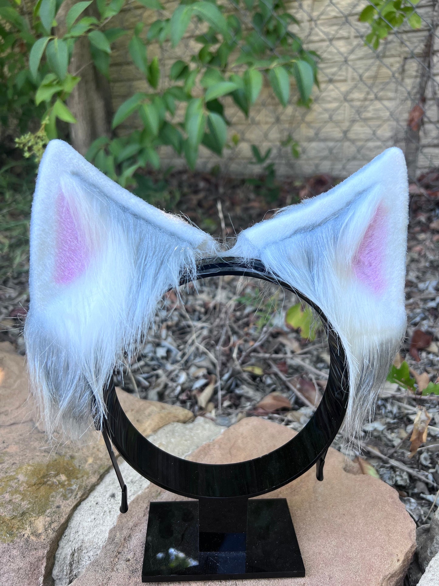 Arctic Wolf Ears