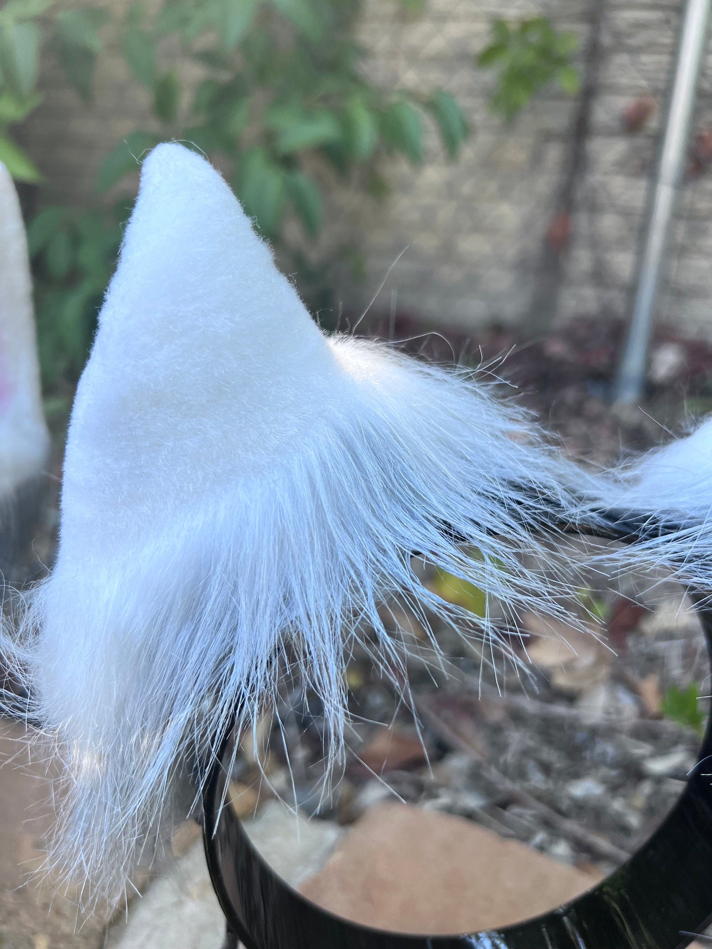 Arctic Wolf Ears