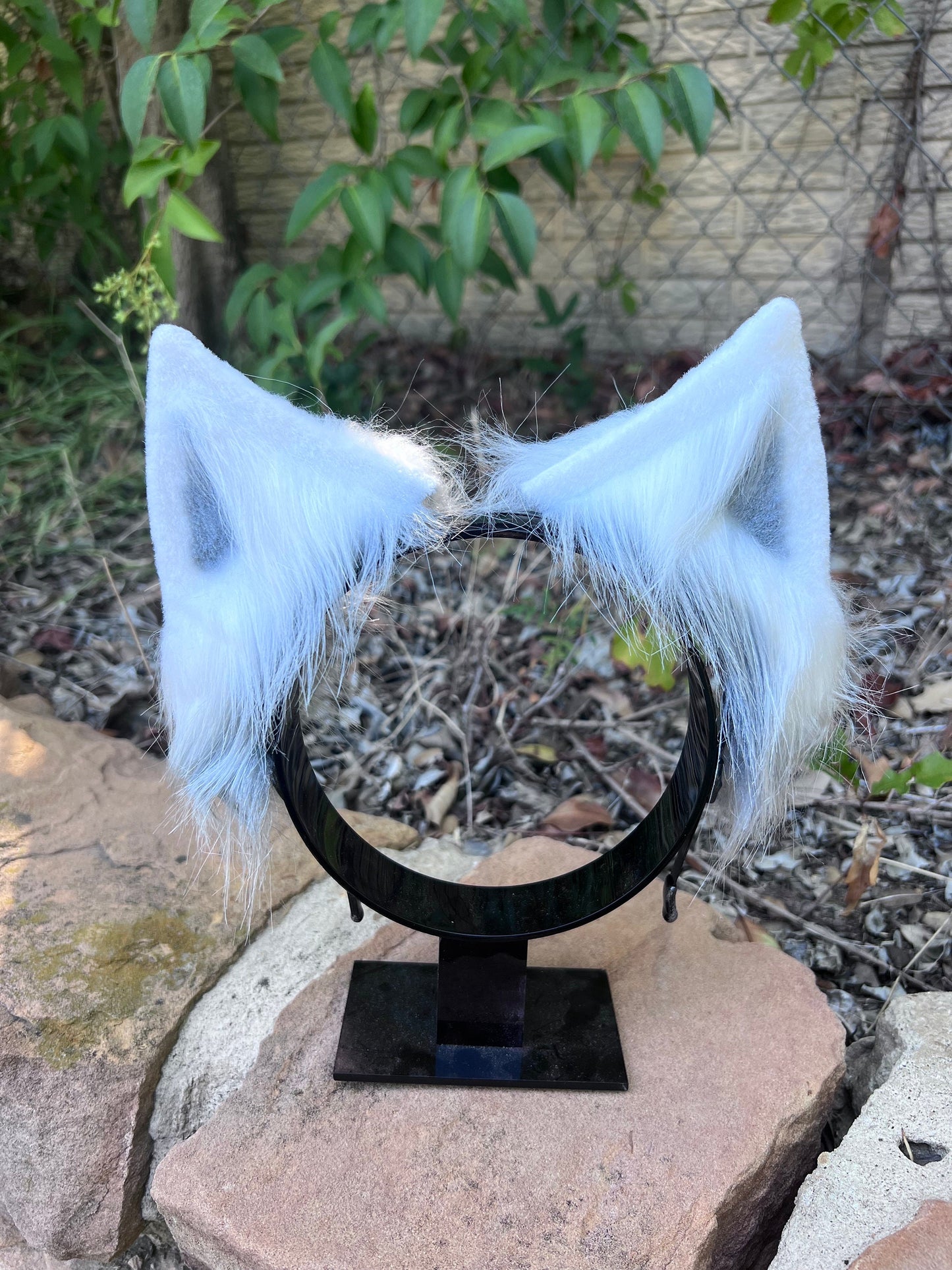 Arctic Wolf Ears