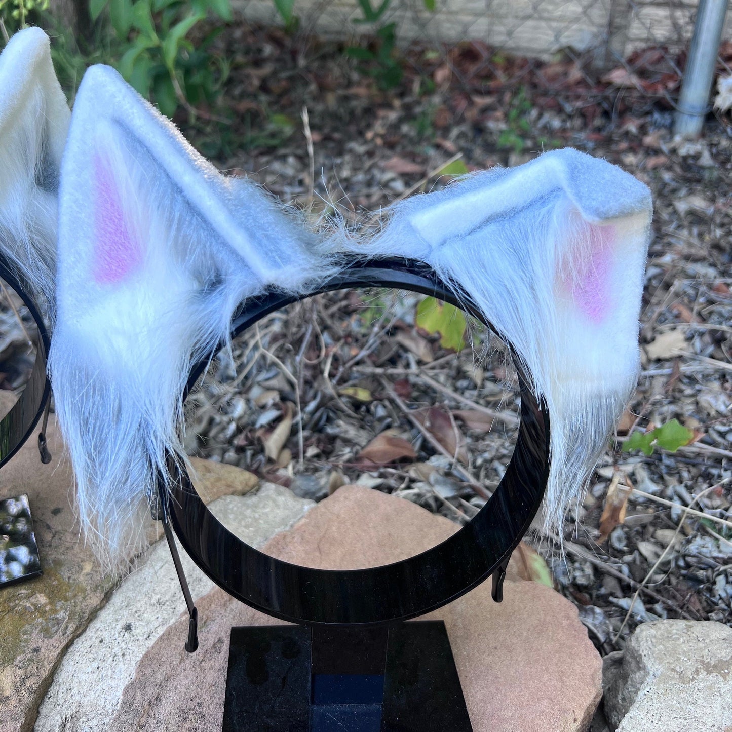 Arctic Wolf Ears