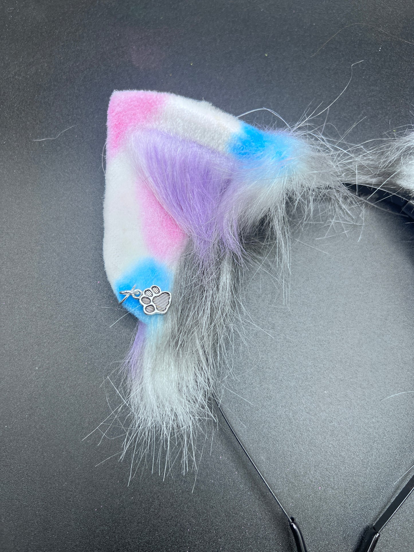 Colorful Kitten Ears