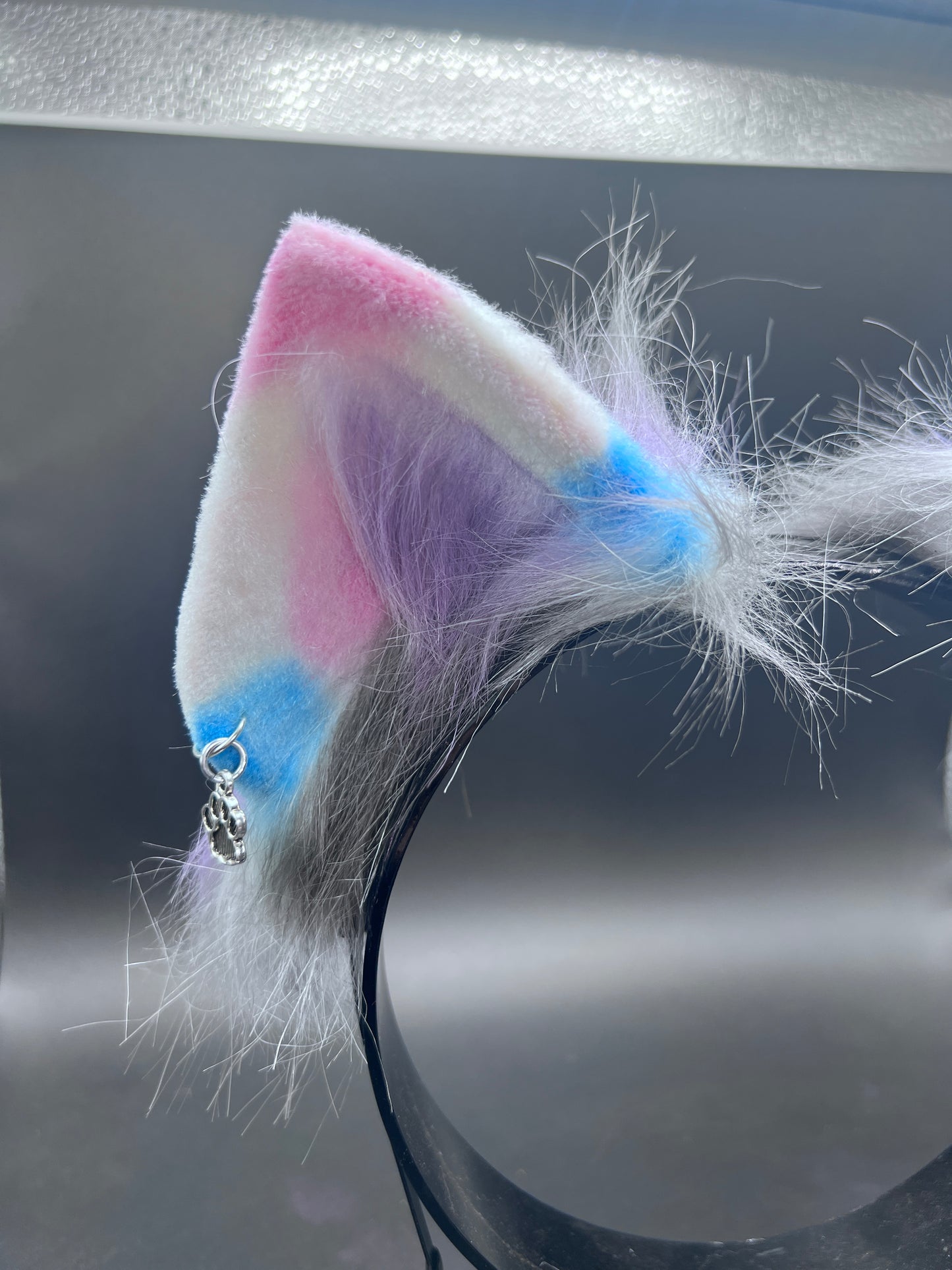 Colorful Kitten Ears