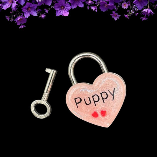 Pink Puppy Heart Pad Lock