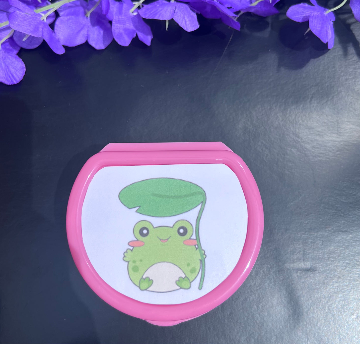 Frog Adult Pacifier Case