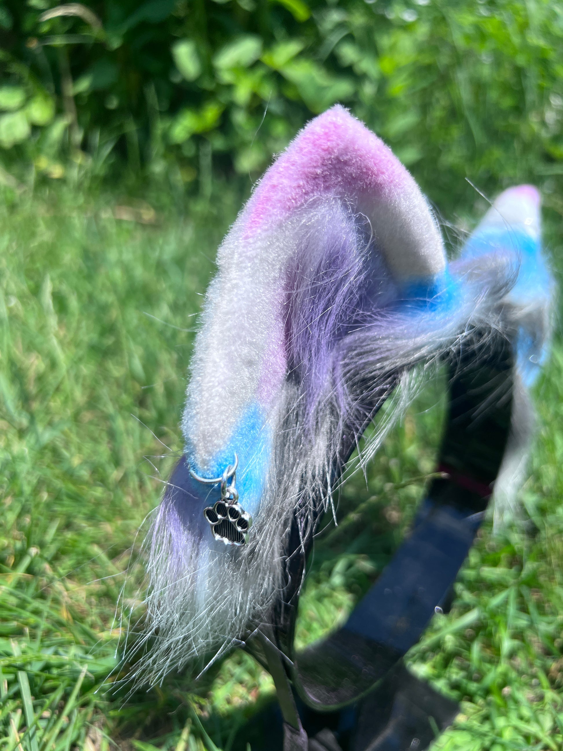 Pet play kitten ears with paw charm earring