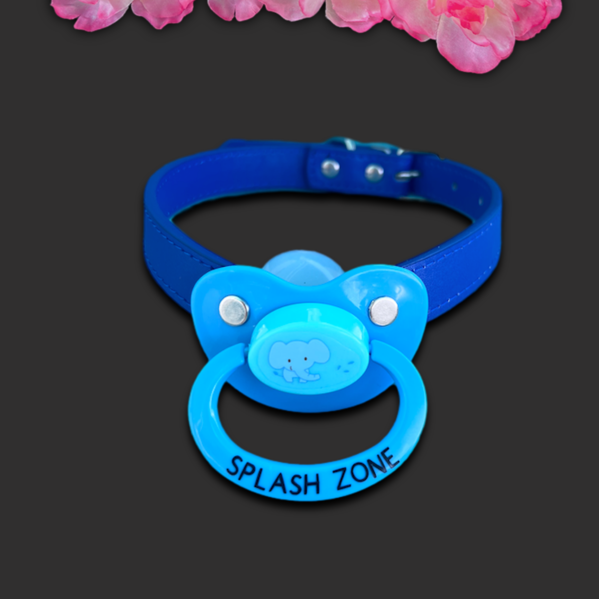 Roller Rink Pacifiers Splash Zone Elephant ABDL Pacifier Gag – Vixen's Hidden Desires™