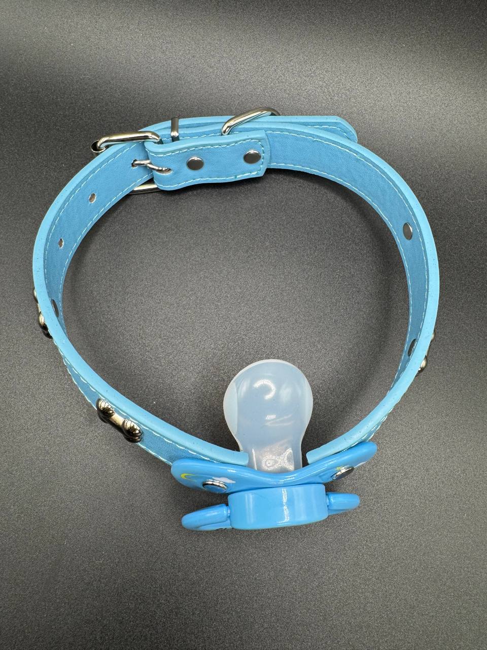 DDLG pacifier gag with dog bones embellishments