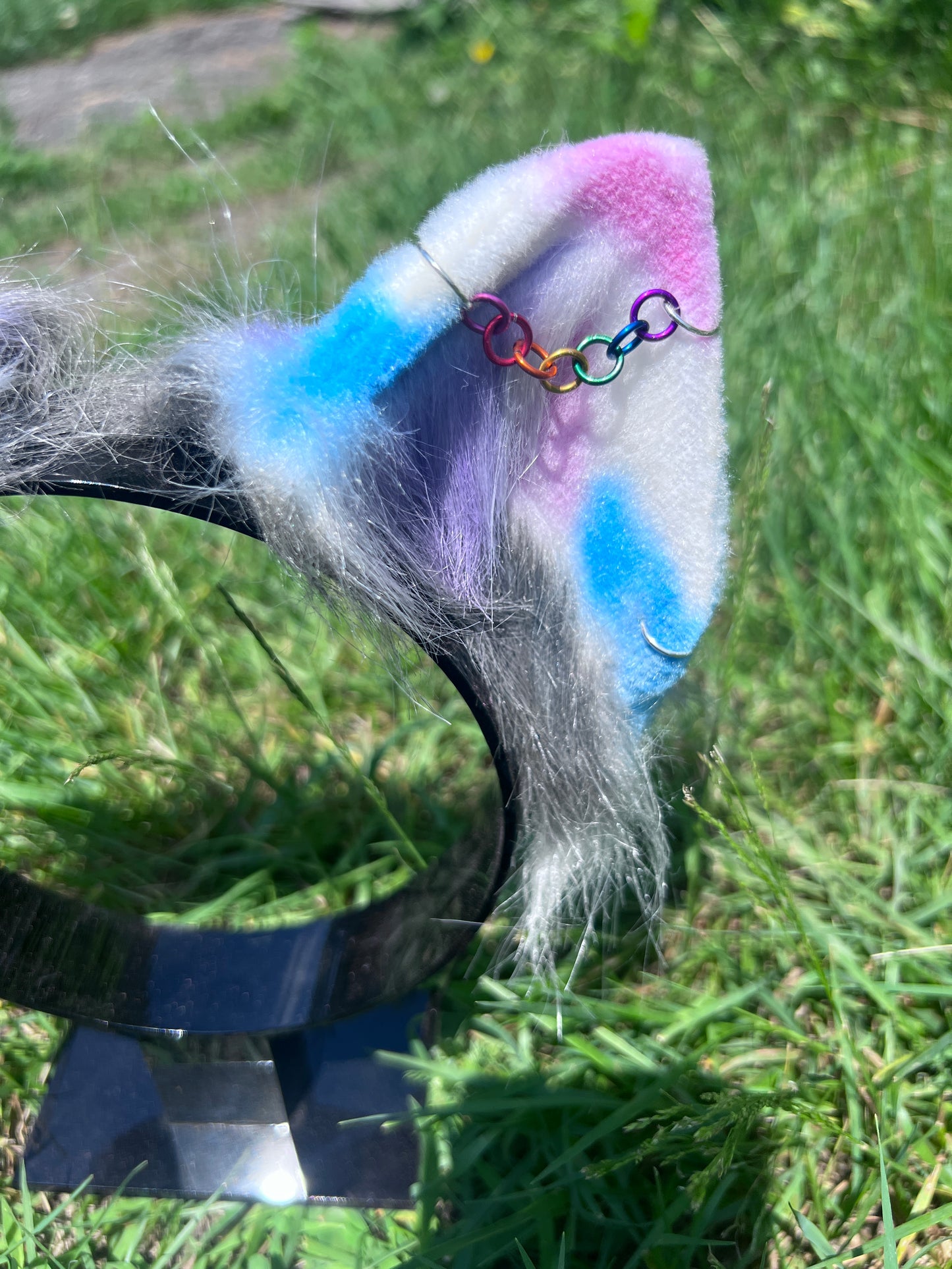pony play ears in gender-fluid pride flag colors