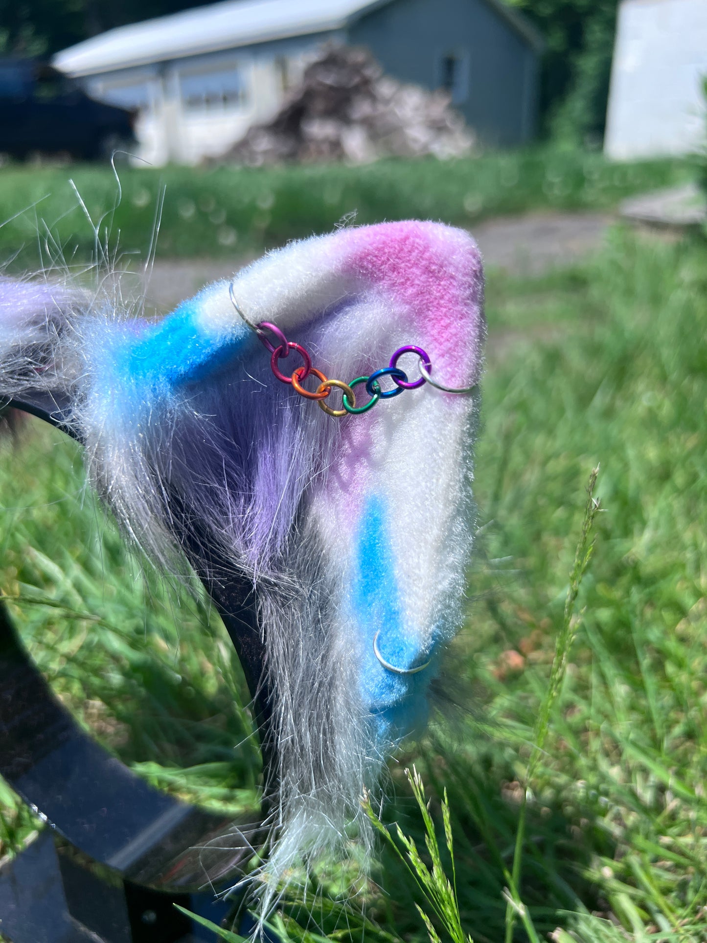 Close-up of a costume kitten ears with rainbow piercing
