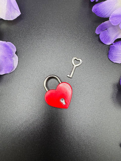 Berri Collar Pad Lock