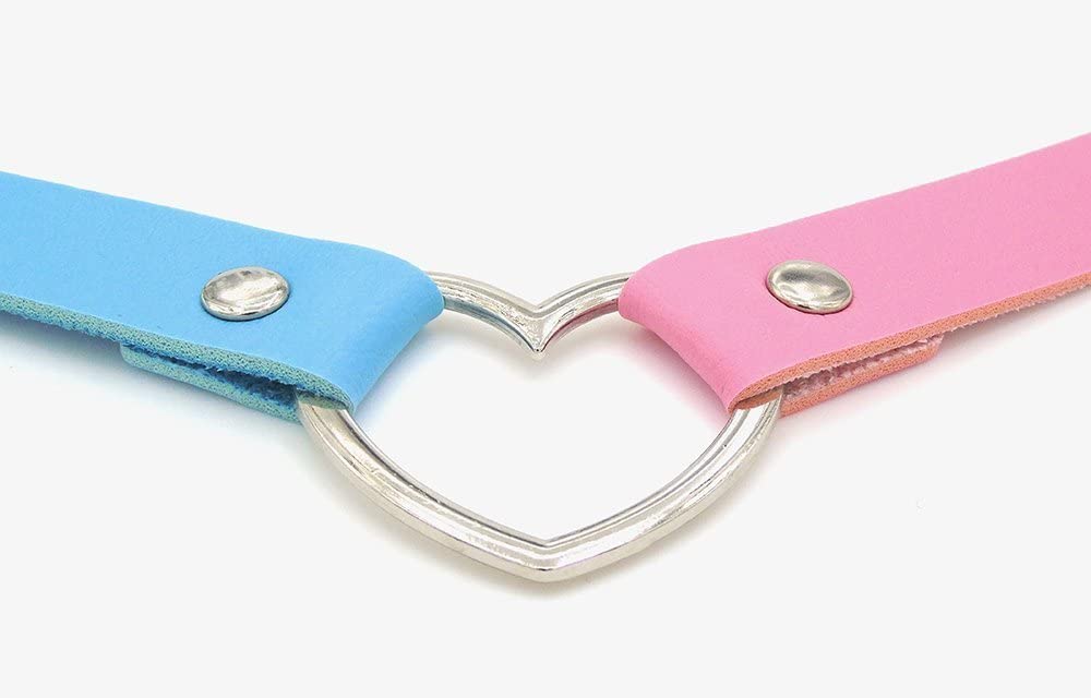 BDSM/DDLG-Inspired PU Leather Choker Collar with Customizable Text and Color Options