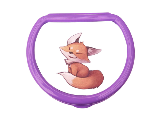 Fox Adult Pacifier Case, DDLG ABDL Pacifier Case | Vixen's Hidden Desires