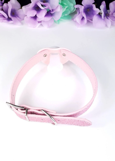 Blue Paw Print Pacifier Gag