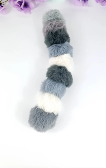 Raccoon Kitten Tail