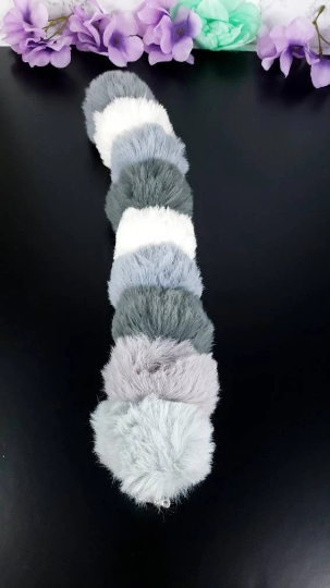 Raccoon Kitten Tail