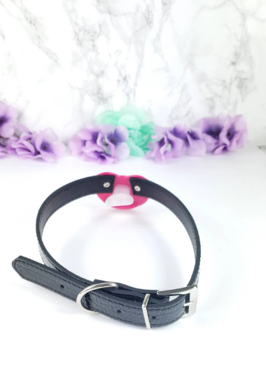 Owned Pacifier Gag