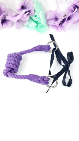Purple Rope Bit Gag