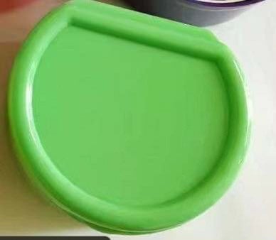 green adult pacifier case