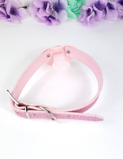Sissy Adult Pacifier Gag