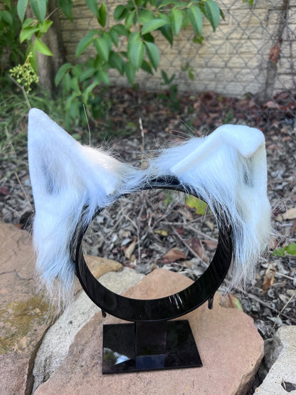 Arctic Wolf Ears