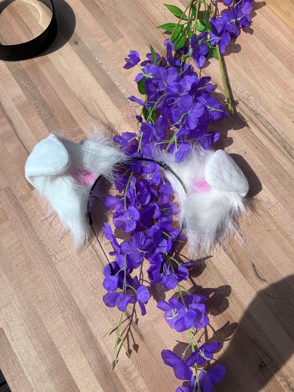 White Puppy Ears