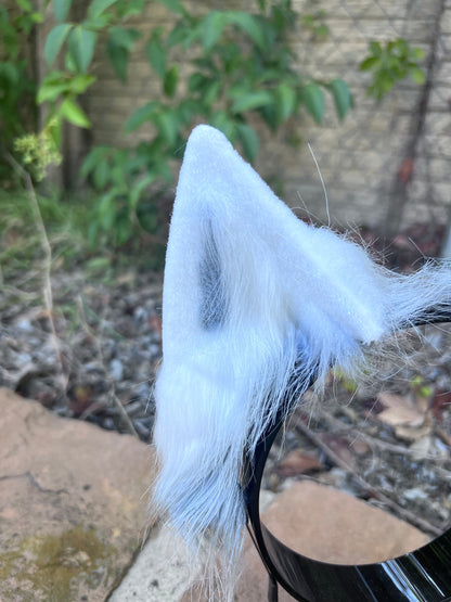 Arctic Wolf Ears