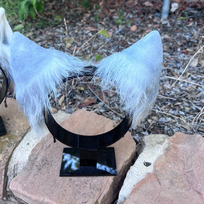 Arctic Wolf Ears